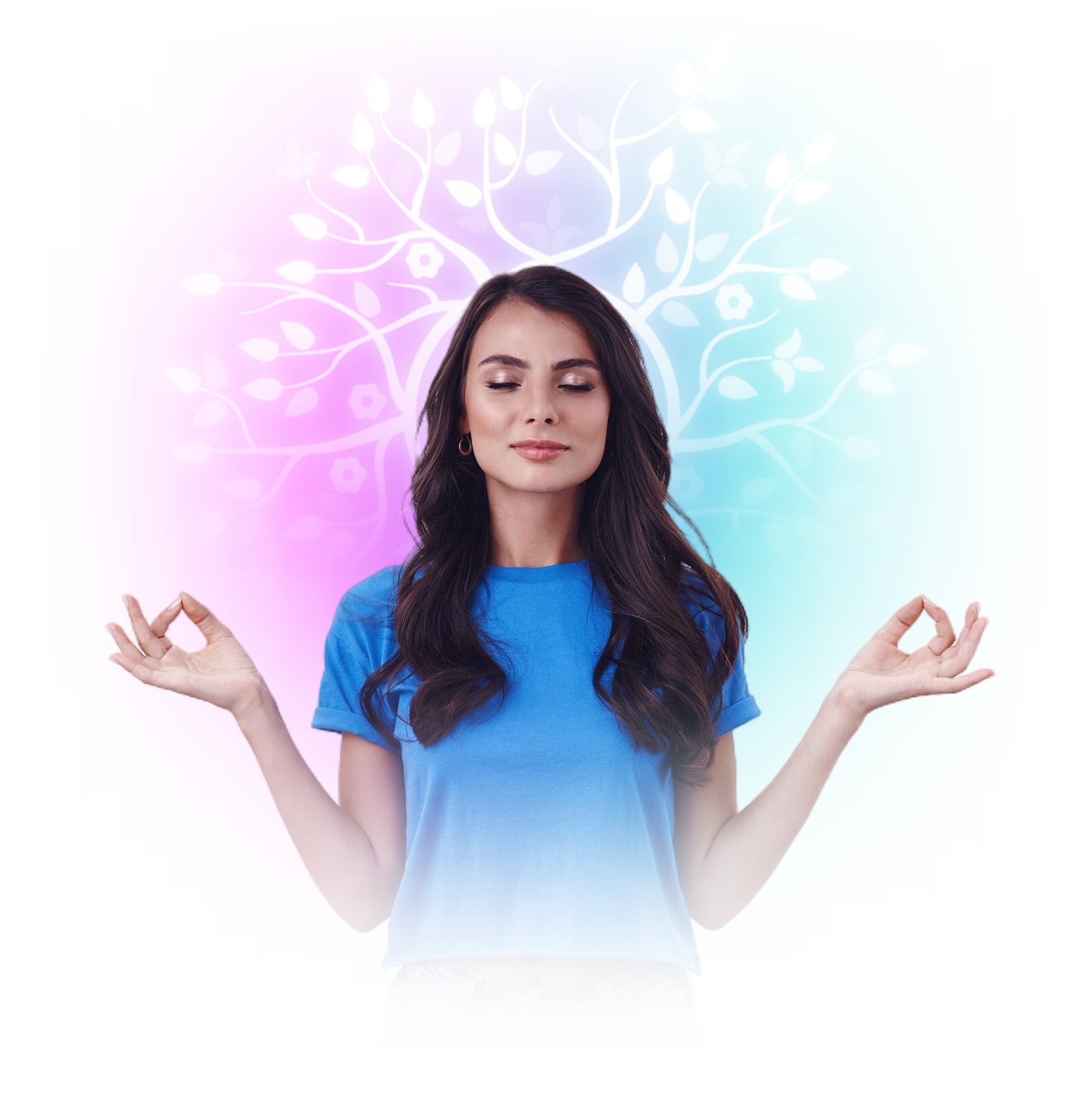 daily Meditation habit